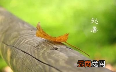 在我们农村处暑后都需要注意些什么呢