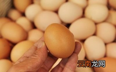 人一天吃几个鸡蛋最好呢
