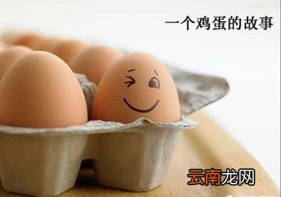 一天一个鸡蛋对人体的好处