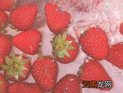 买的草莓为什么很快就烂了