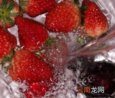 买的草莓为什么很快就烂了