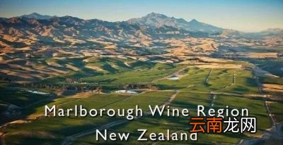 喜欢喝浓香型白酒的朋友适合喝什么红酒呢