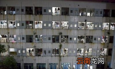 0既然不让回家过年不可行该当如何呢