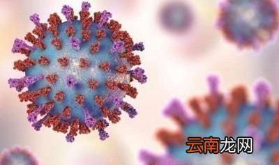 针对冠状病毒肺炎农民需要防范吗