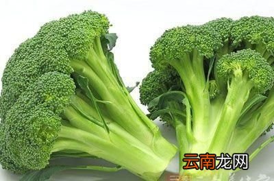 如何挑选西兰花