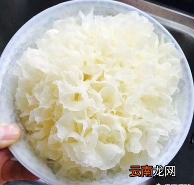 银耳汤煮不烂怎么办