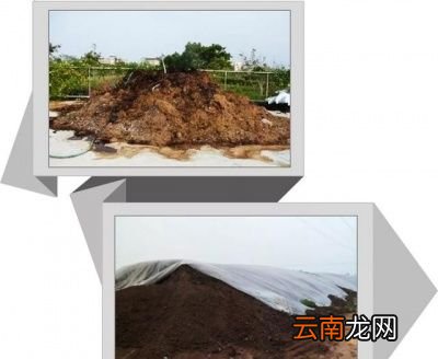 如何做好垃圾分类