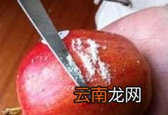 为什么要给苹果打蜡