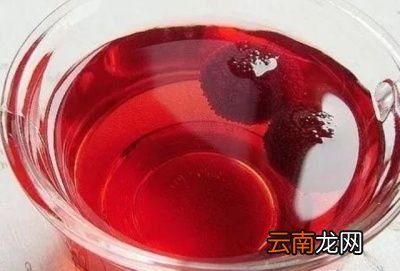 杨梅酒用什么酒比例是什么
