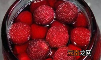 杨梅酒用什么酒比例是什么
