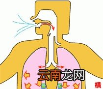 什么方式的呼吸对肺比较好呢
