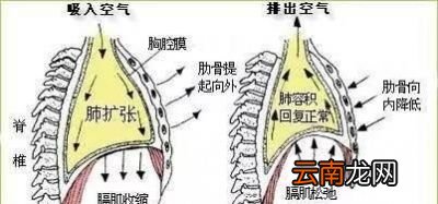 什么方式的呼吸对肺比较好呢