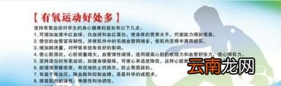 什么是有氧运动