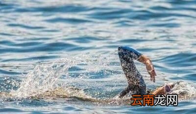 什么是有氧运动