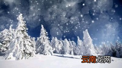 为什么说“大雪兆丰年无雪要遭殃”