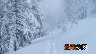 为什么说“大雪兆丰年无雪要遭殃”