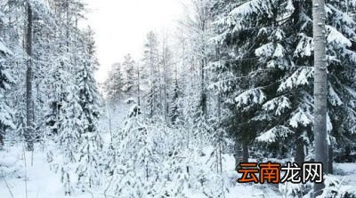 为什么说“大雪兆丰年无雪要遭殃”