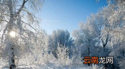 为什么说“大雪兆丰年无雪要遭殃”