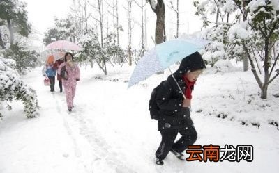 “冬至下雨情况的多少”