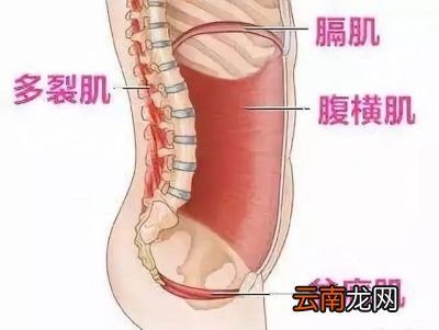 什么是提肛运动