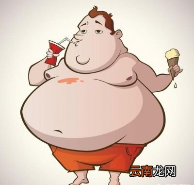 红牛用什么做的