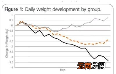 问题来了代可可脂巧克力推荐买吗
