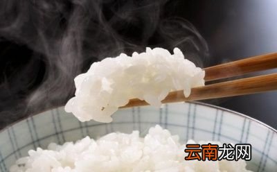 减肥时吃哪种主食更靠谱一定是米饭或者面条吗