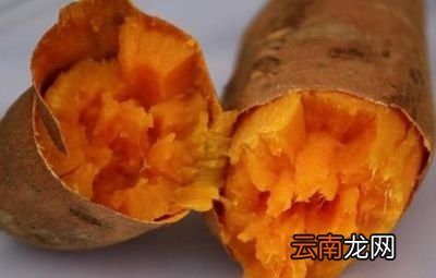 减肥期间为什么选择米饭而不是面条