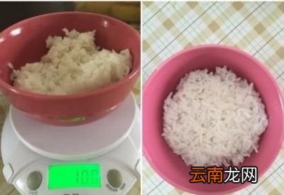 减肥期间为什么选择米饭而不是面条