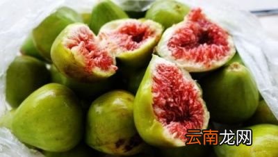 --无花果和什么一起煲汤好--