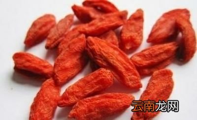 枸杞日常怎样服用