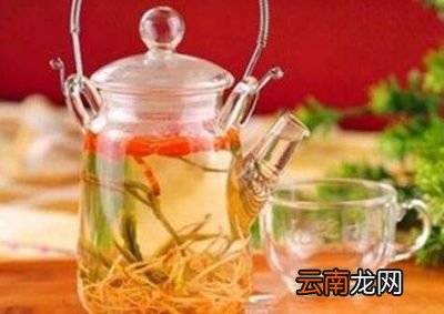 枸杞日常怎样服用