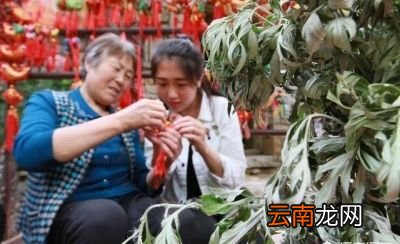 为什么要悬挂“艾草”以及艾草的价值都有哪些