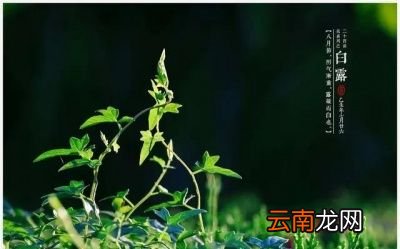 过了立秋还会有高温天气吗