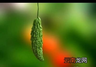 题主问过了立秋还会有高温天气吗