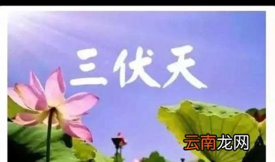 题主问过了立秋还会有高温天气吗