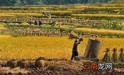 立秋之后还会热多久呢