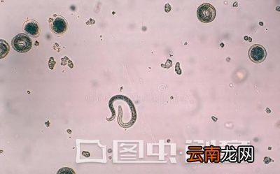 如果火锅非吃不可保证以下几点
