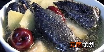 乌骨鸡汤的注意事项