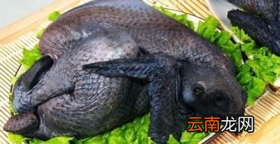 乌骨鸡汤的注意事项