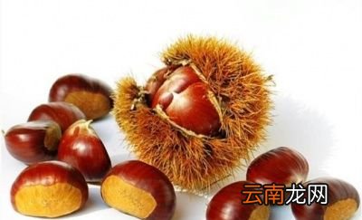 板栗放干了怎么变软