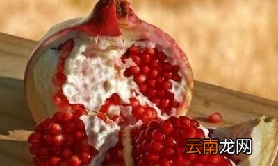 明天白露吃什么水果适合这个节气
