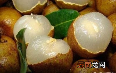明天白露吃什么水果适合这个节气