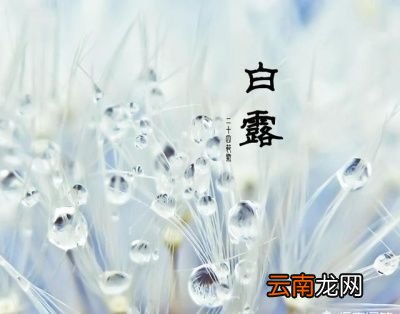明天白露吃什么水果适合这个节气