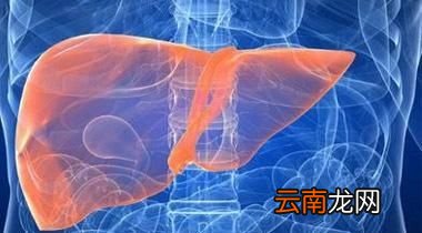 肝火旺如何诊断