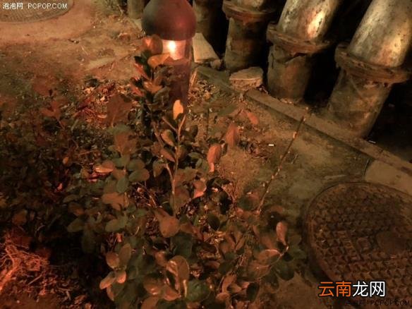 诺基亚7plus参数配置 诺基亚2021即将上市的新机