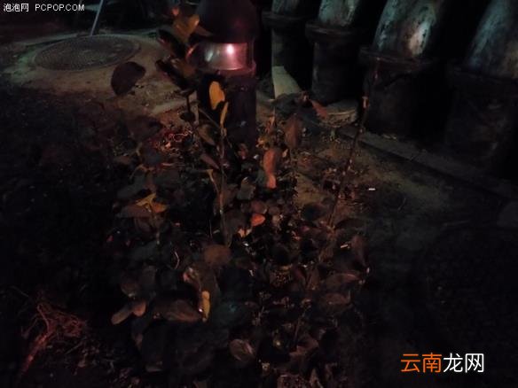 诺基亚7plus参数配置 诺基亚2021即将上市的新机