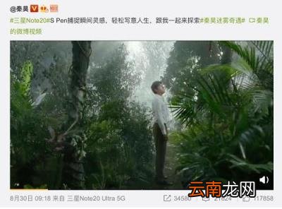 现在三星哪台手机好 2021年十大最佳拍照手机排名