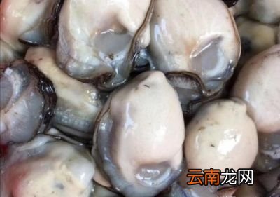 生蚝肉如何保存