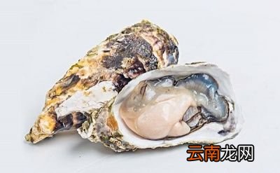 生蚝肉如何保存